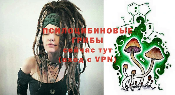 мескалин Мегион