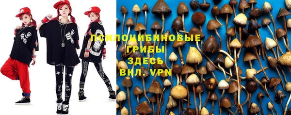 spice Медвежьегорск