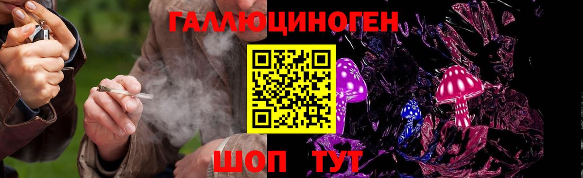 Псилоцибиновые грибы ЛСД Чернушка