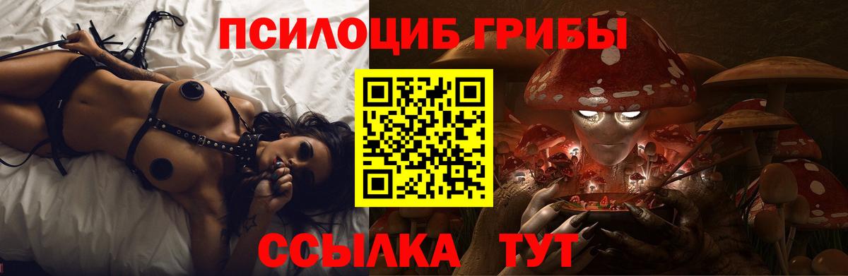 Галлюциногенные грибы Psilocybe  Псилоцибиновые грибы ЛСД  Чернушка 